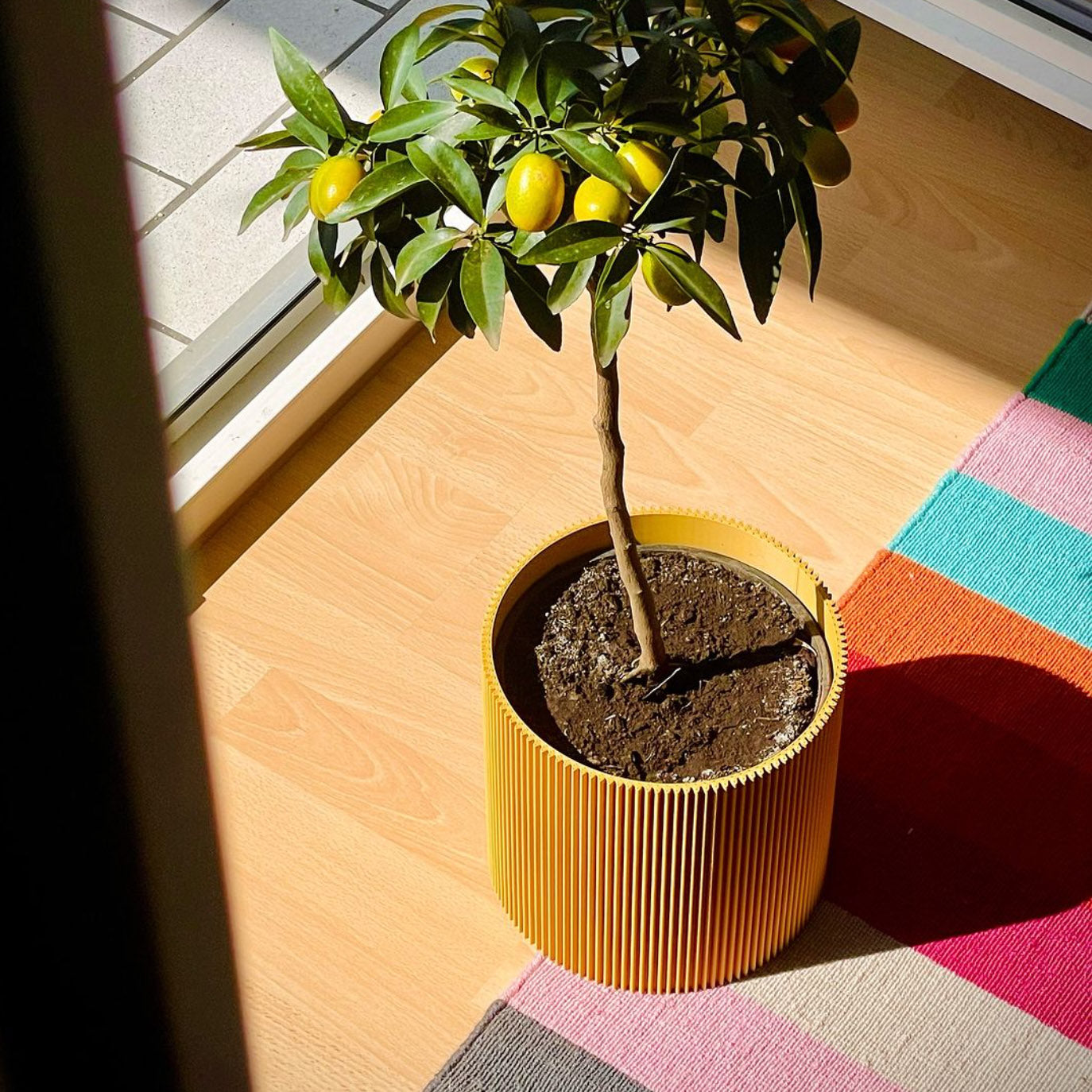 Minimalistischer blumentopf