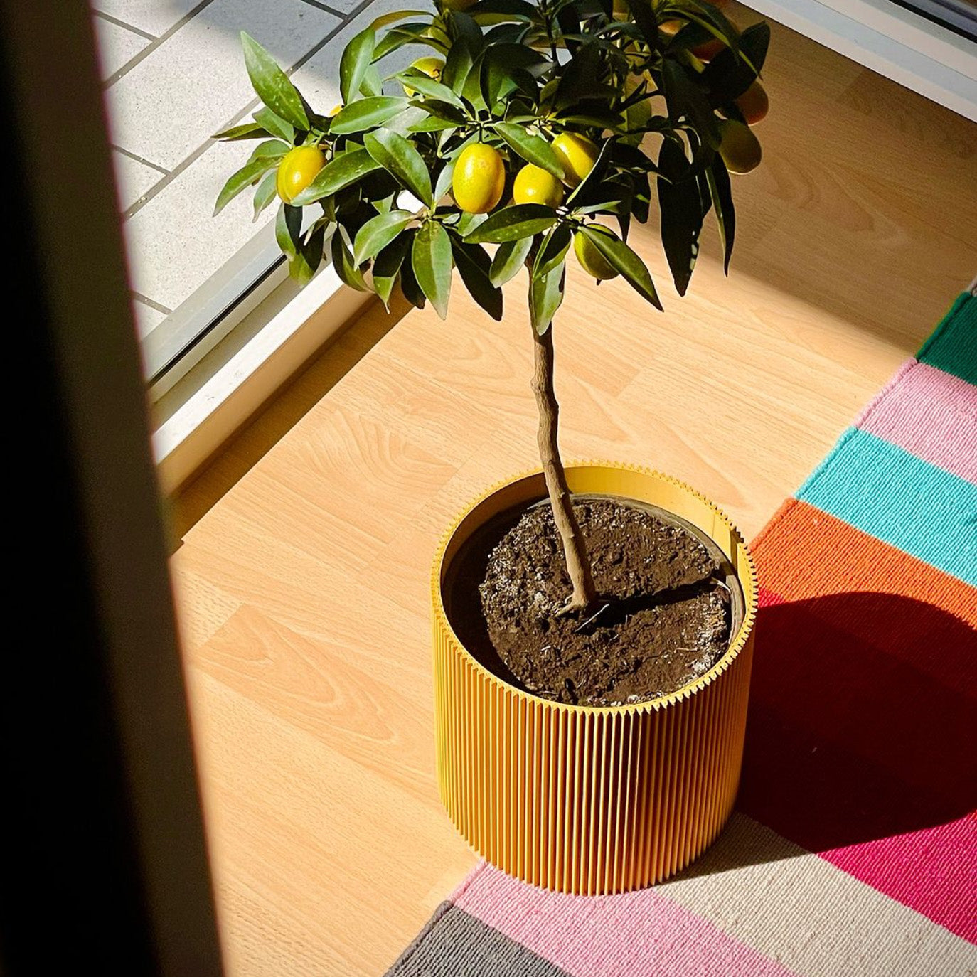GERADE - PLANTER