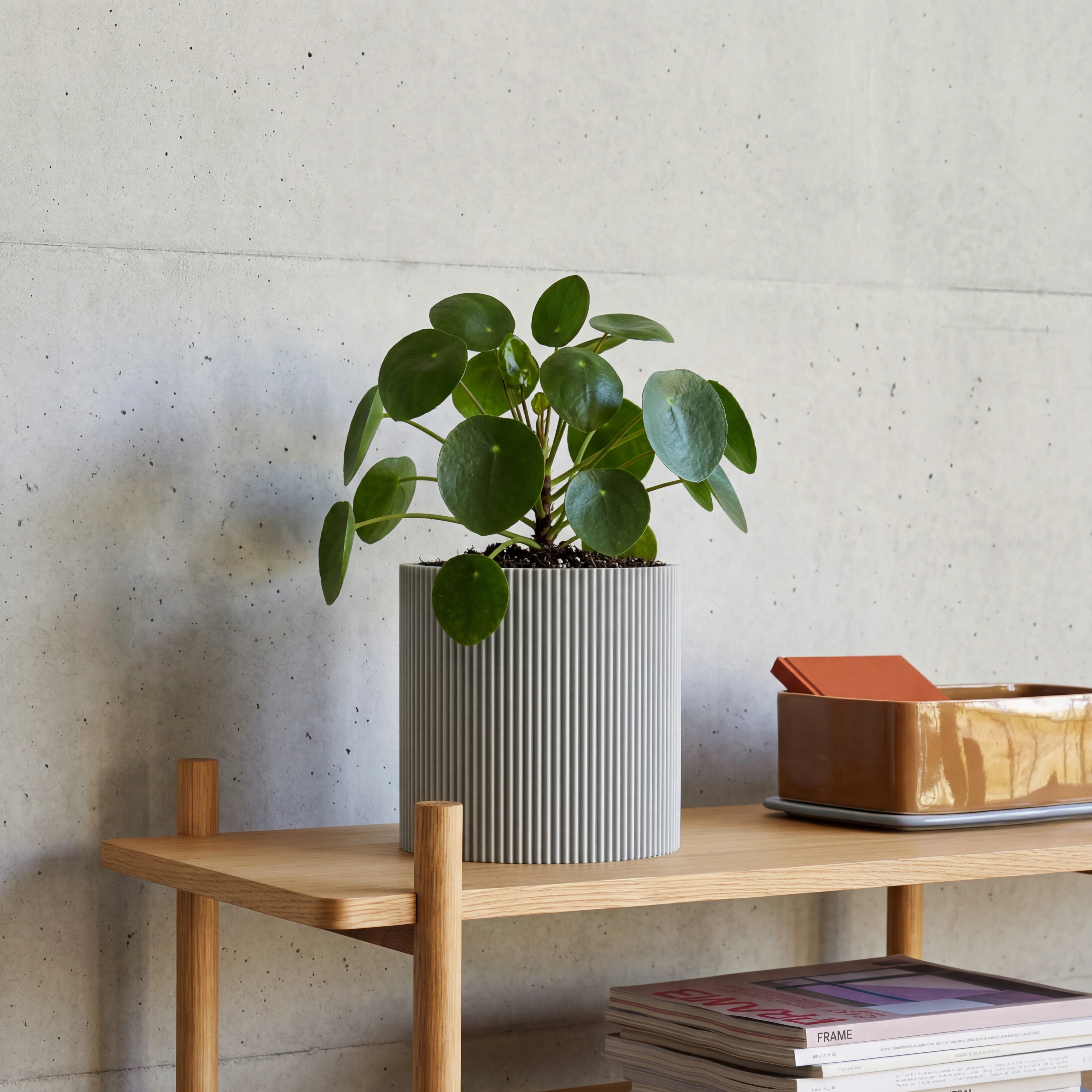Blumentopf Gerade in Hellgrau mit Pilea auf Eichen-Sideboard vor Betonwand im Wohnraum