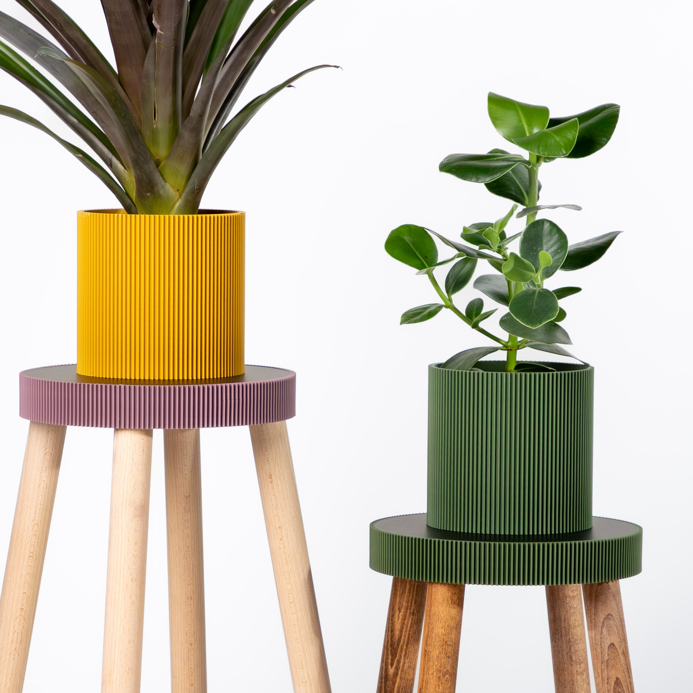 GERADE - PLANTER