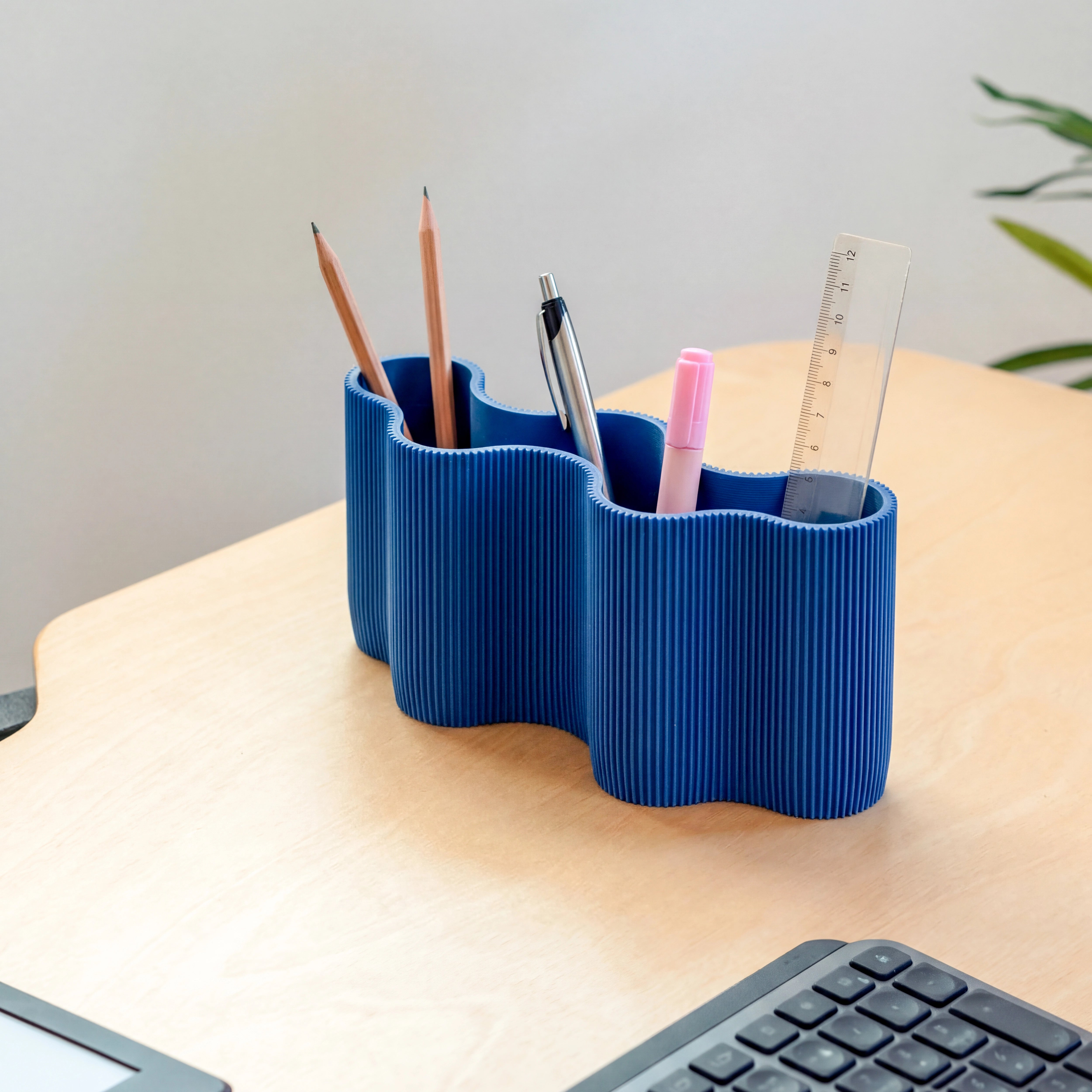 CORAL MODULE FIVE - ORGANIZER