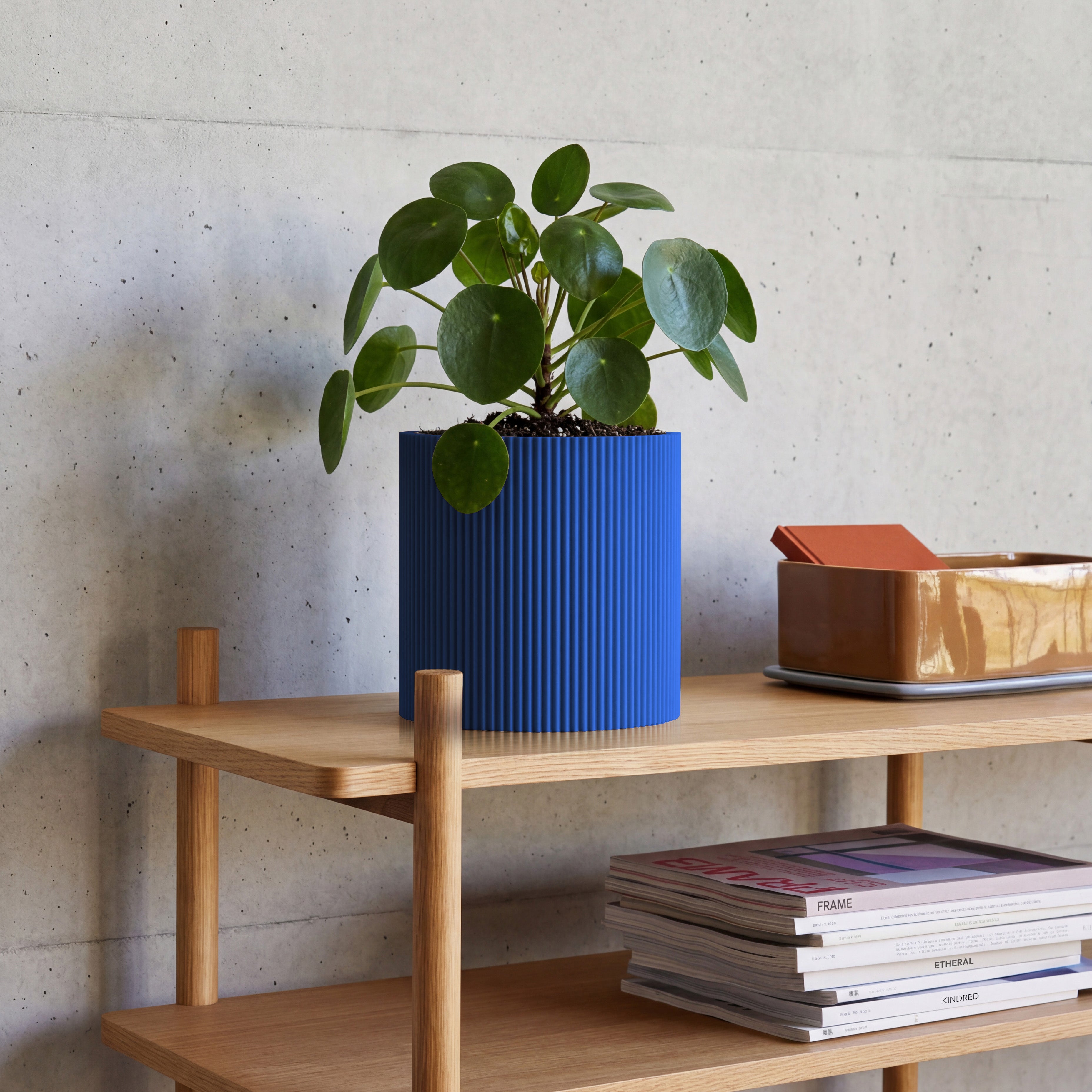 Blumentopf Gerade in blau aus dem 3D Druck mit Pilea auf Eichenregal vor Betonwand #farbe_blau