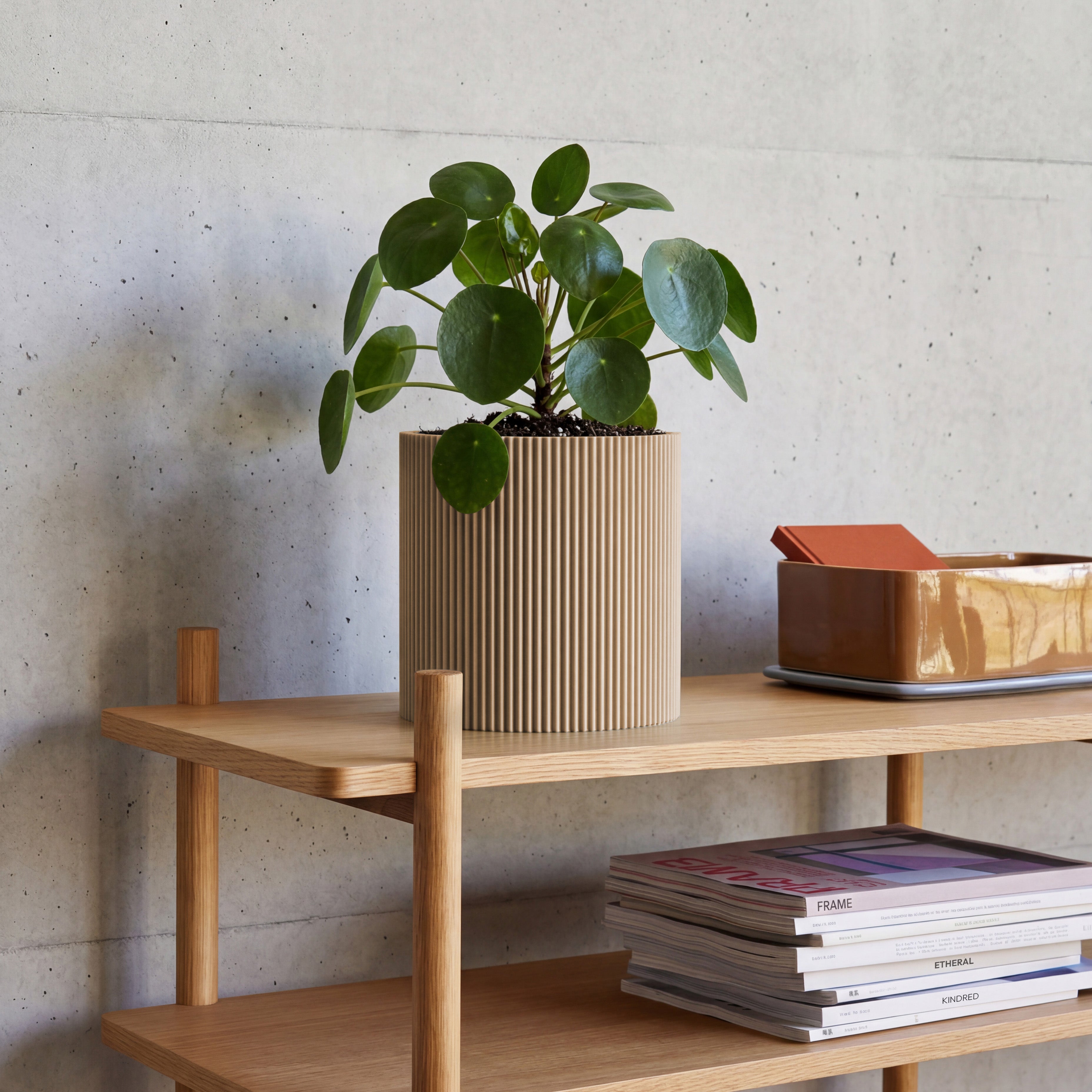Blumentopf Gerade in Beige aus dem 3D Druck mit Pilea auf Eichenregal vor Betonwand #farbe_beige