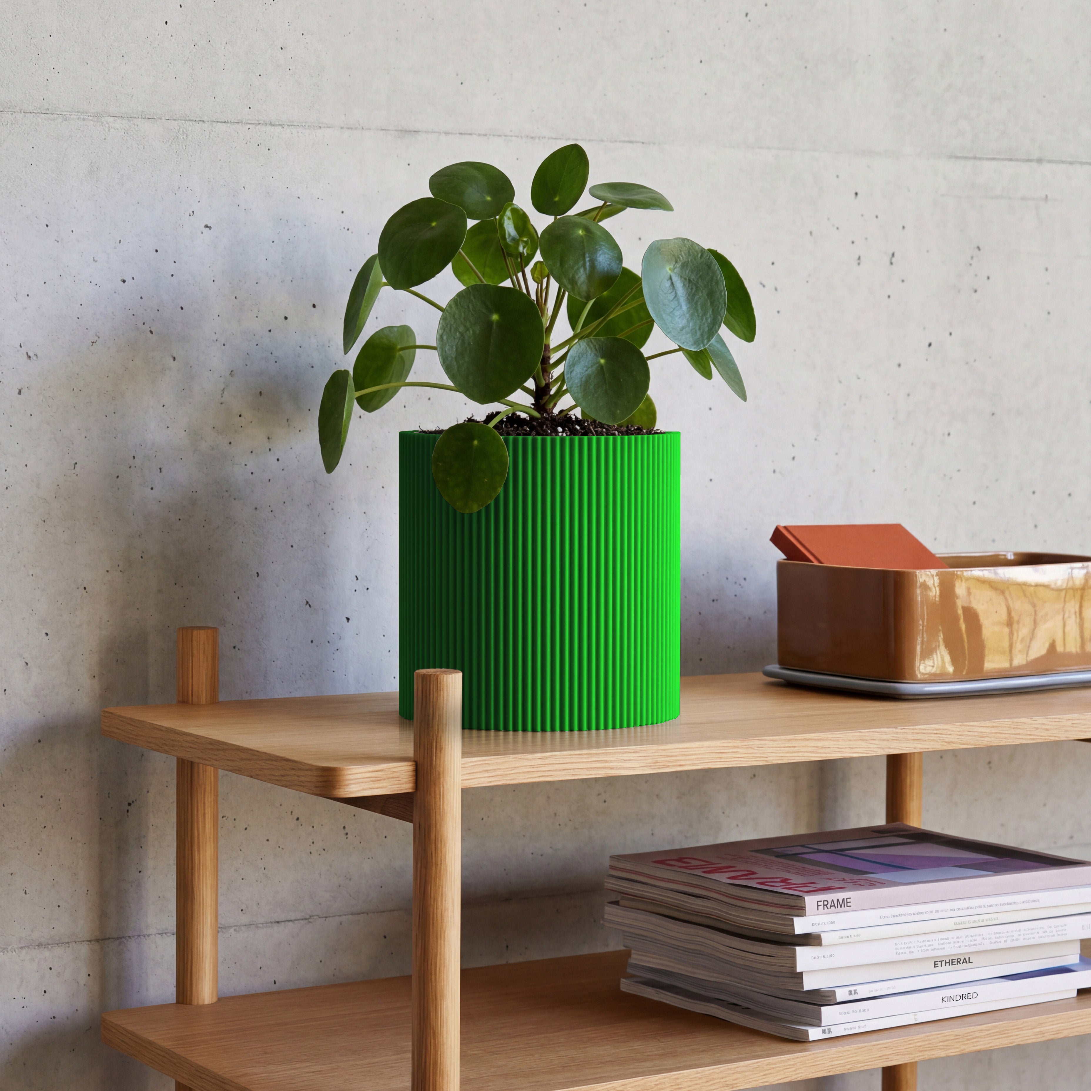 Blumentopf Gerade in grün aus dem 3D Druck mit Pilea auf Eichenregal vor Betonwand #farbe_grün