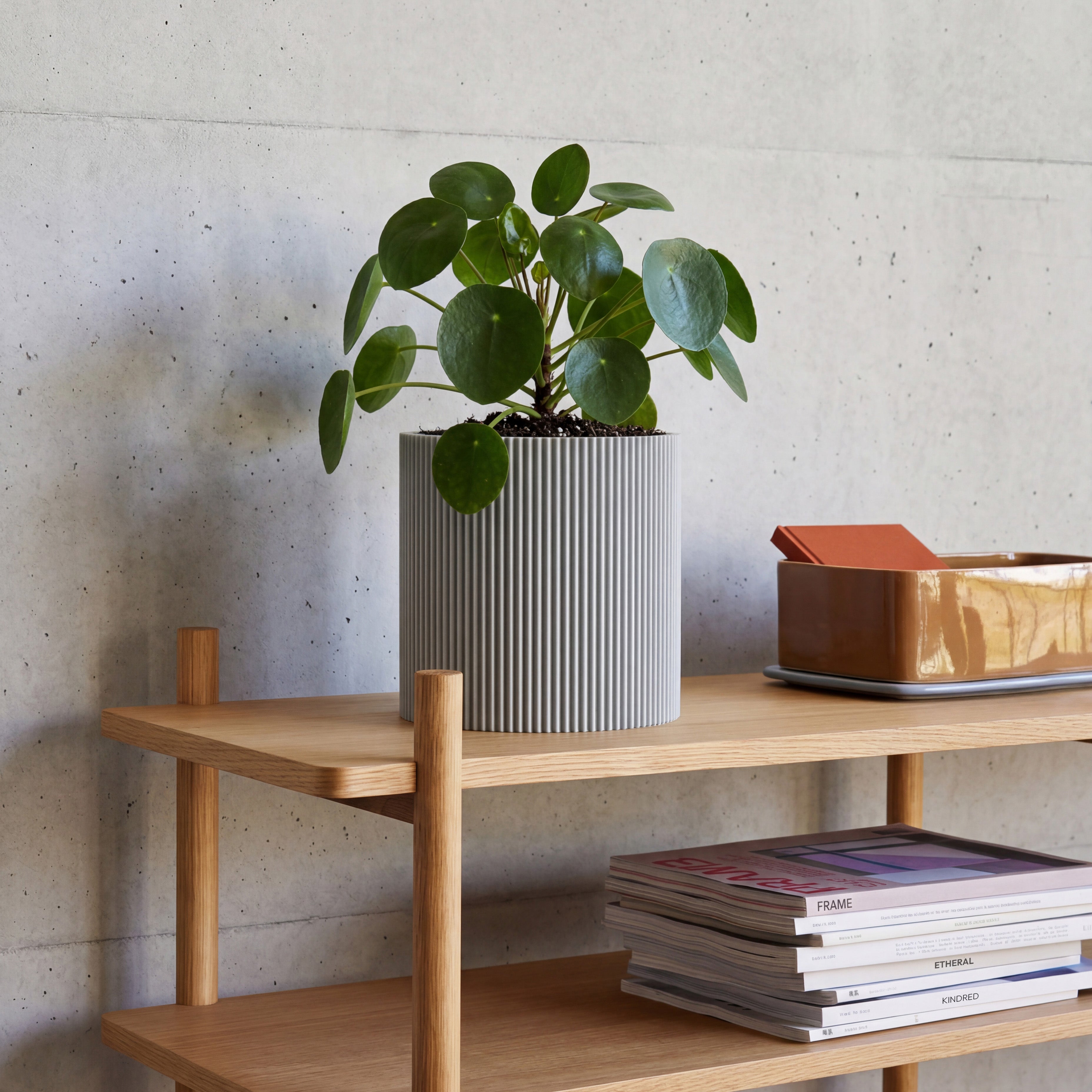 GERADE - PLANTER