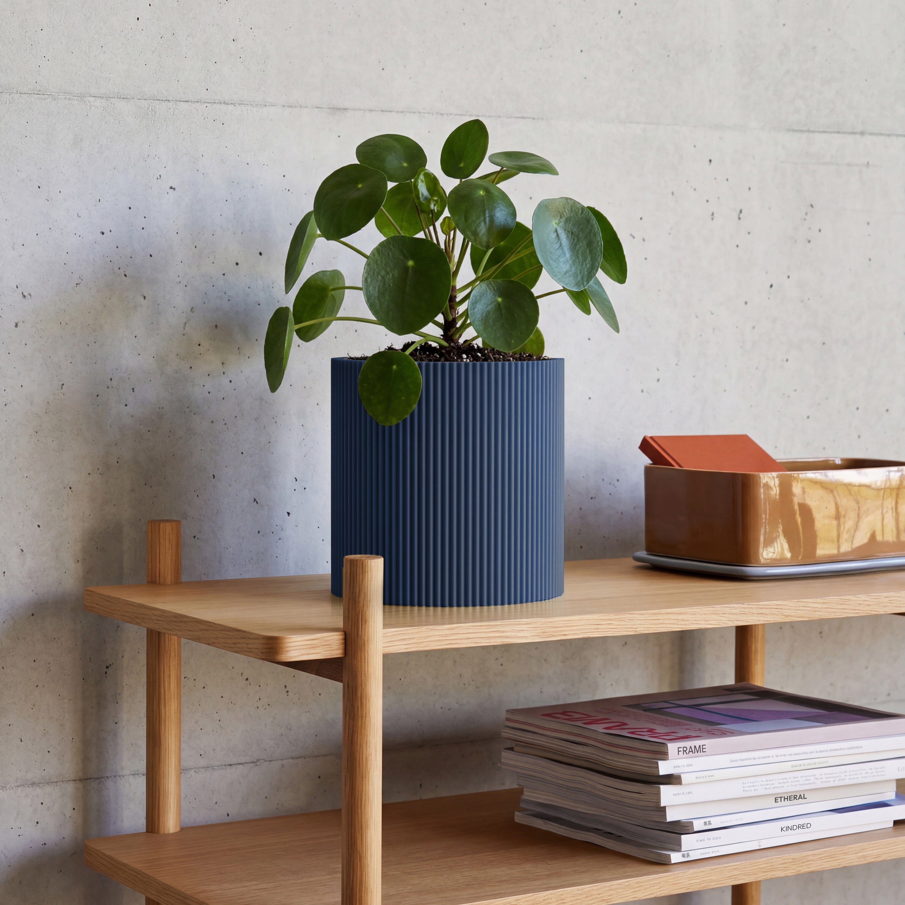 Blumentopf Gerade in navyblau aus dem 3D Druck mit Pilea auf Eichenregal vor Betonwand #farbe_navyblau