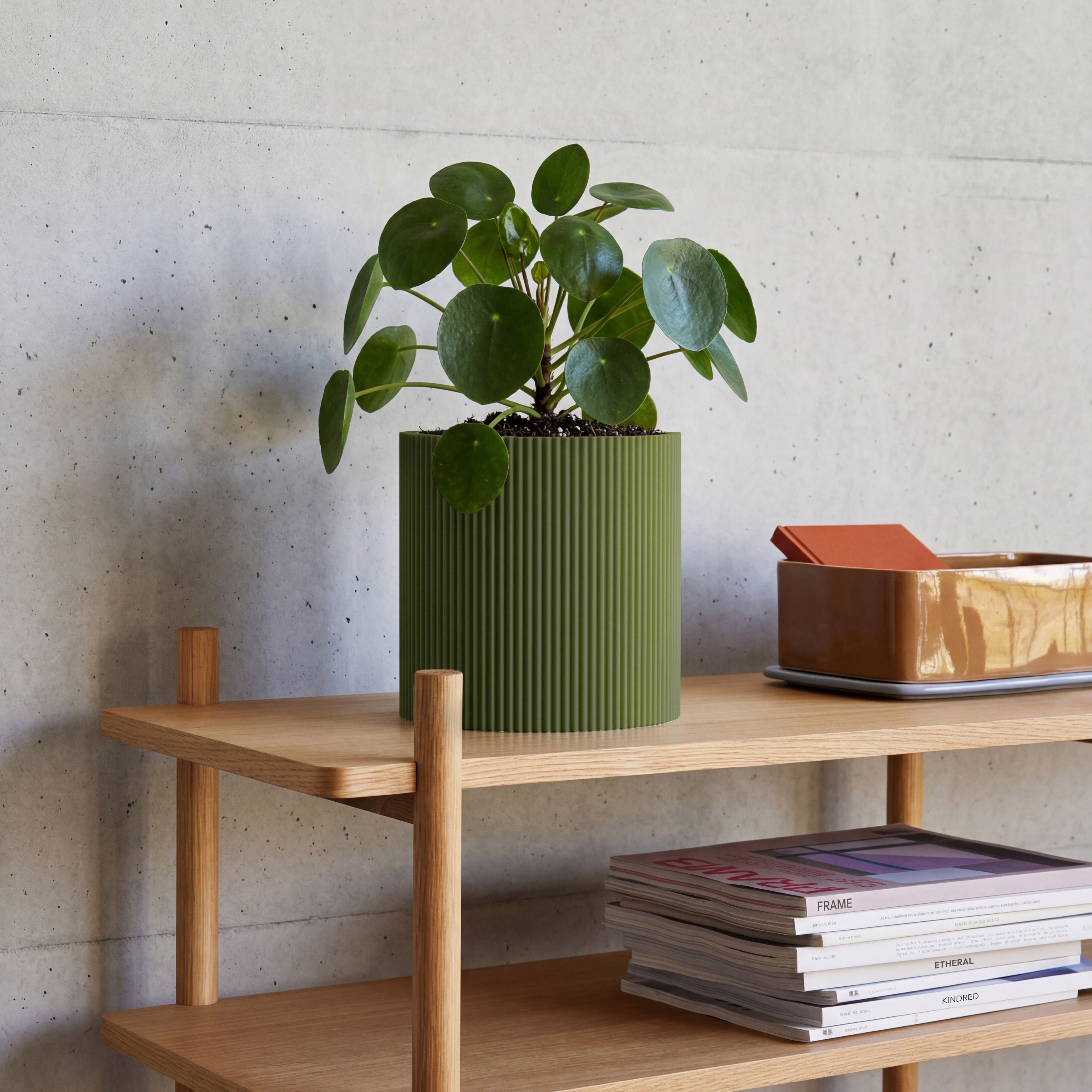 Blumentopf Gerade in olivgrün aus dem 3D Druck mit Pilea auf Eichenregal vor Betonwand #farbe_olivgrün