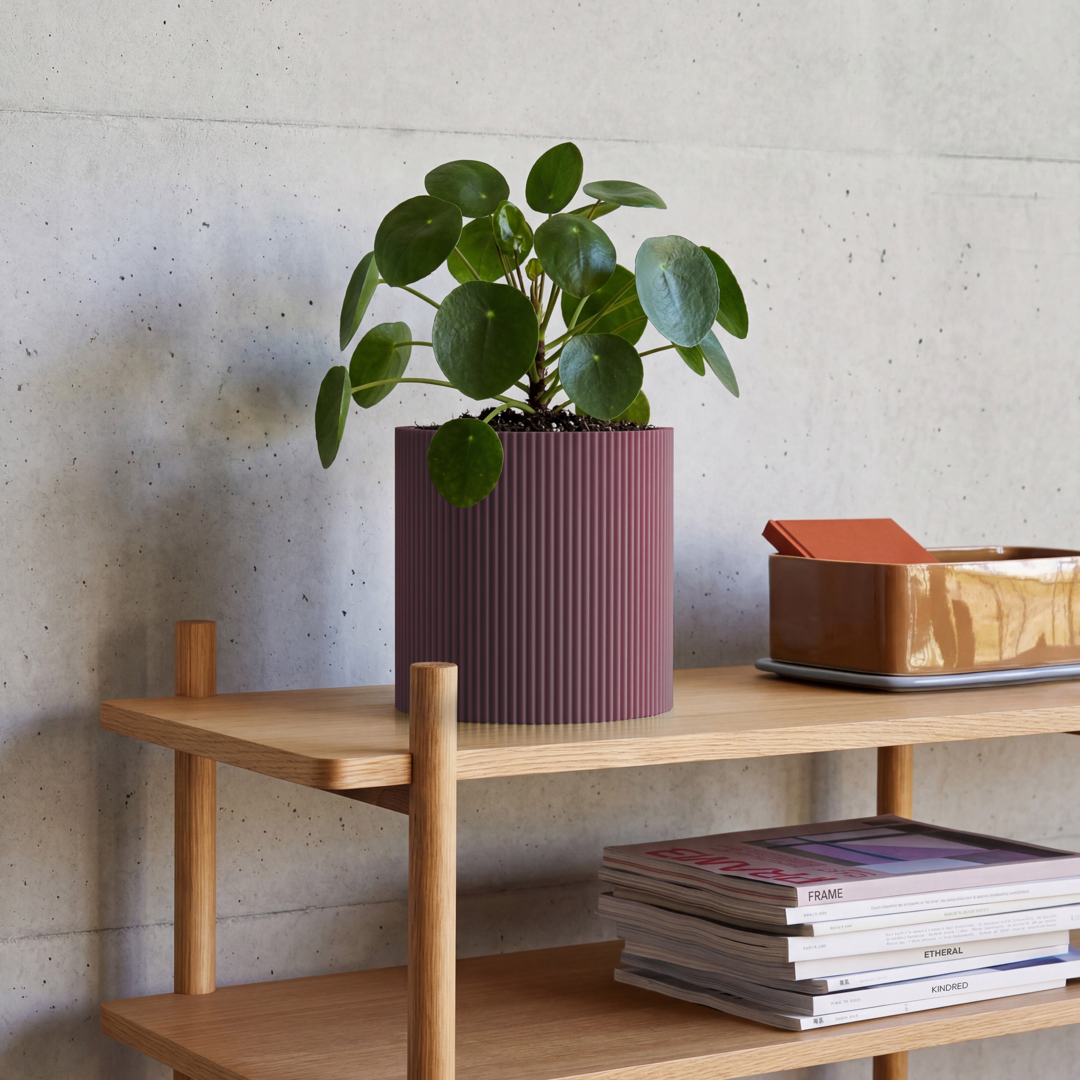 Blumentopf Gerade in lila aus dem 3D Druck mit Pilea auf Eichenregal vor Betonwand #farbe_aschlila