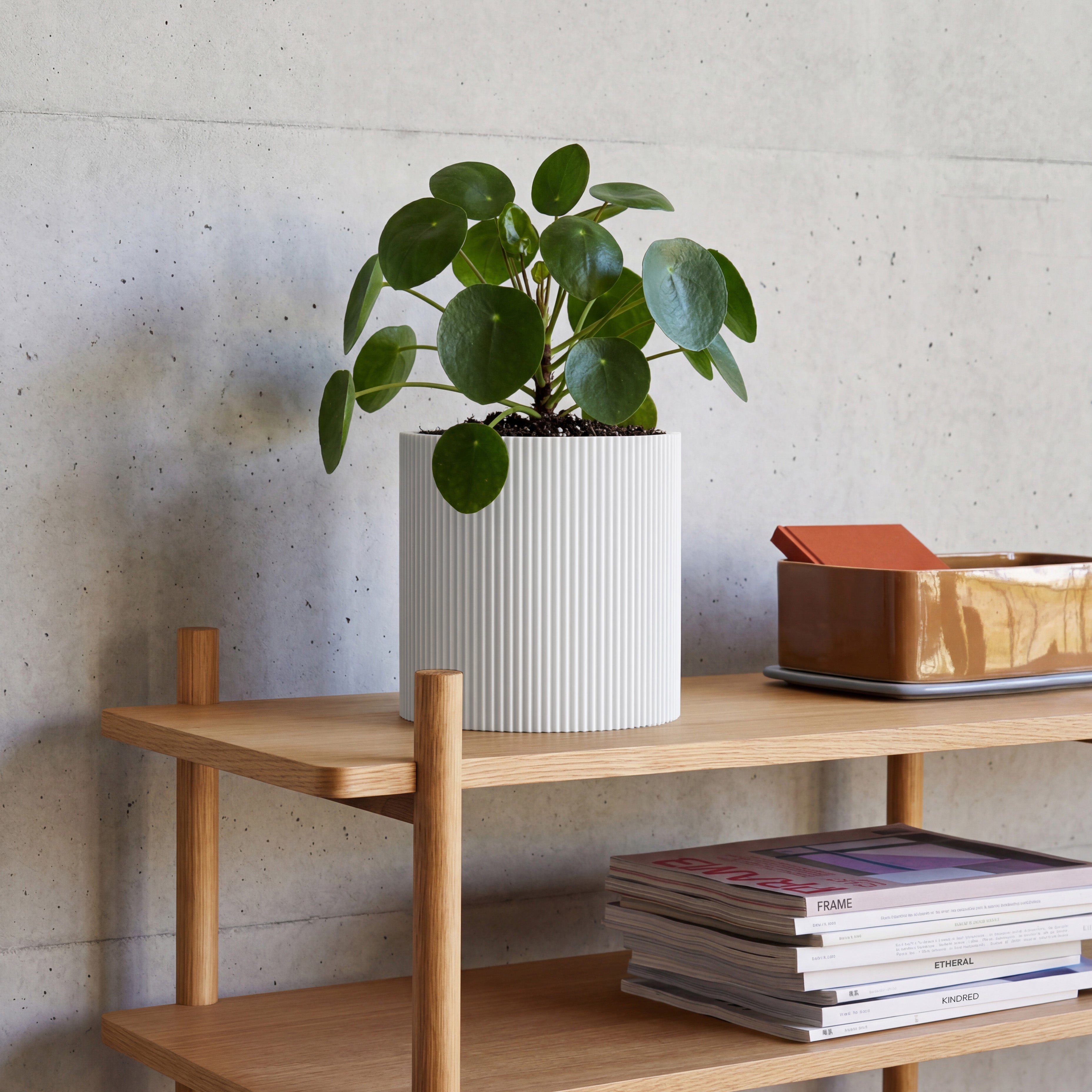 Blumentopf Gerade in weiss aus dem 3D Druck mit Pilea auf Eichenregal vor Betonwand #farbe_weiss