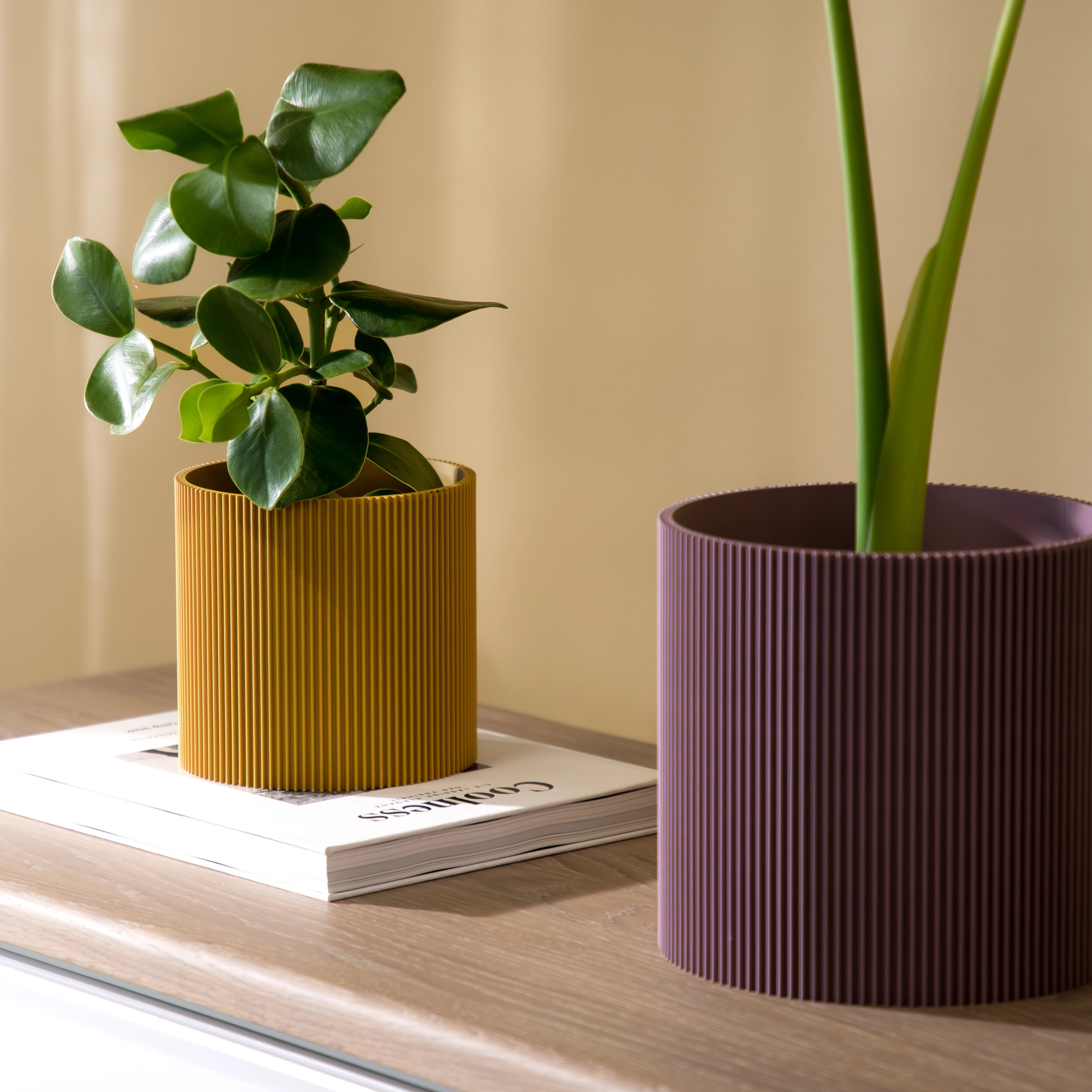 GERADE - PLANTER