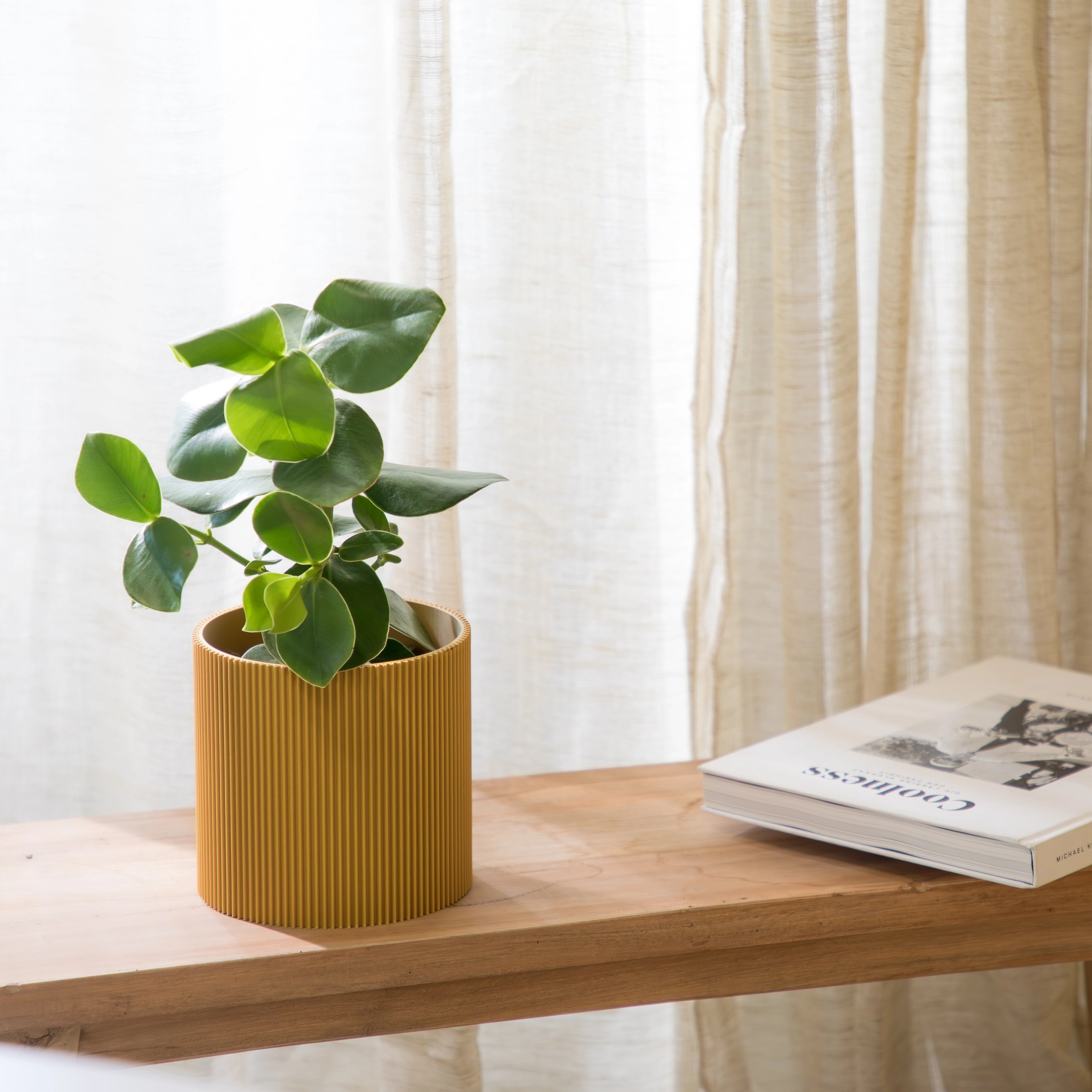 GERADE - PLANTER