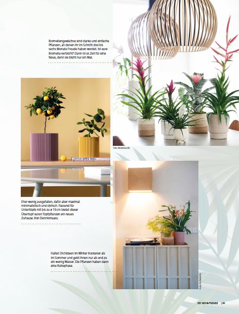 dennismaass Blumentopf Wohntrends