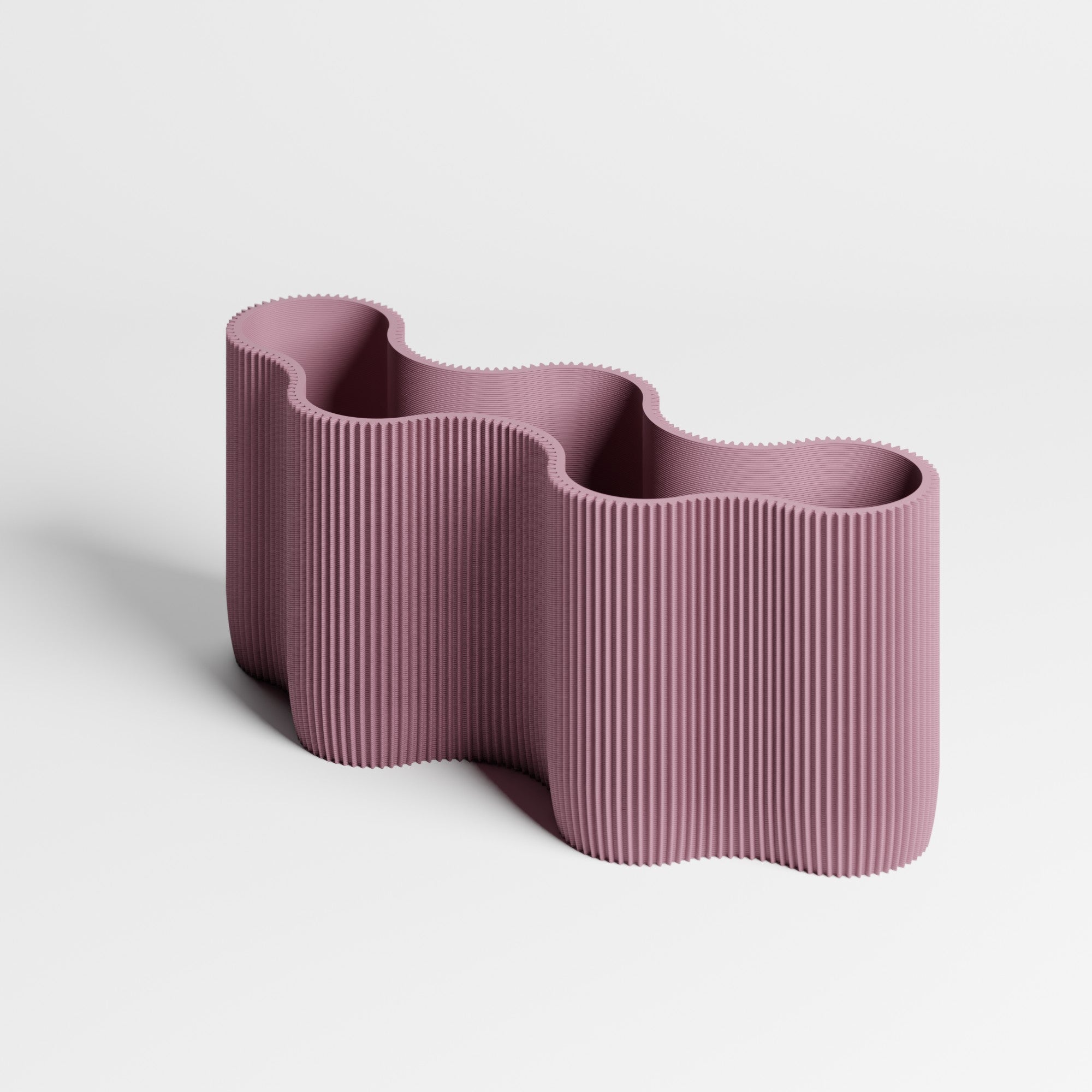 CORAL MODULE FIVE - ORGANIZER