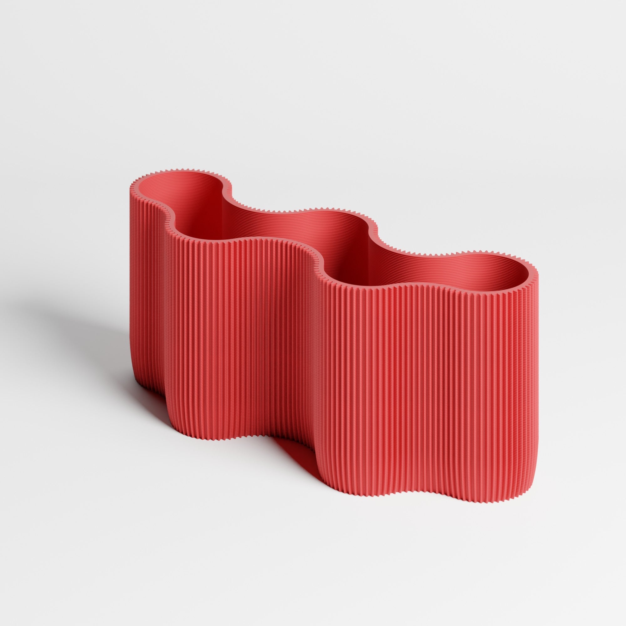 CORAL MODULE FIVE - ORGANIZER