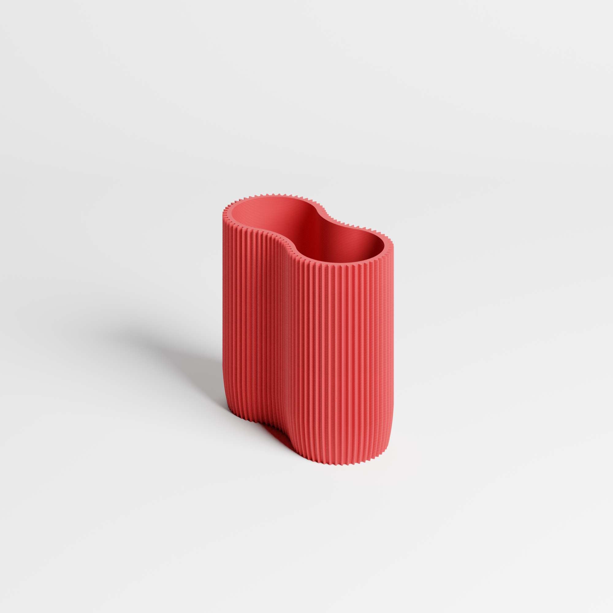 CORAL MODULE TWO - ORGANIZER