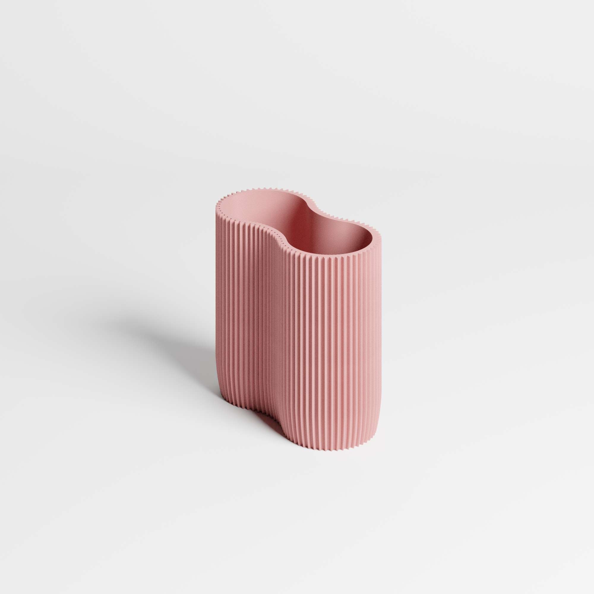 CORAL MODULE TWO - ORGANIZER