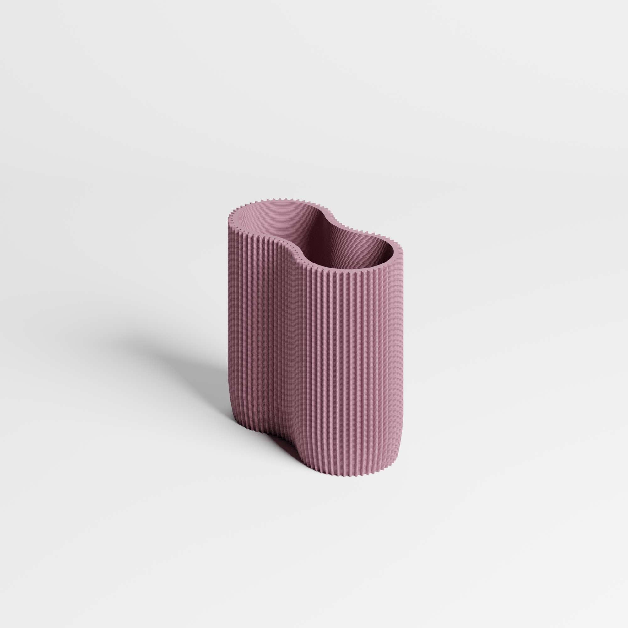 CORAL MODULE TWO - ORGANIZER