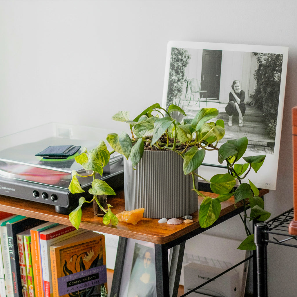 GERADE - PLANTER