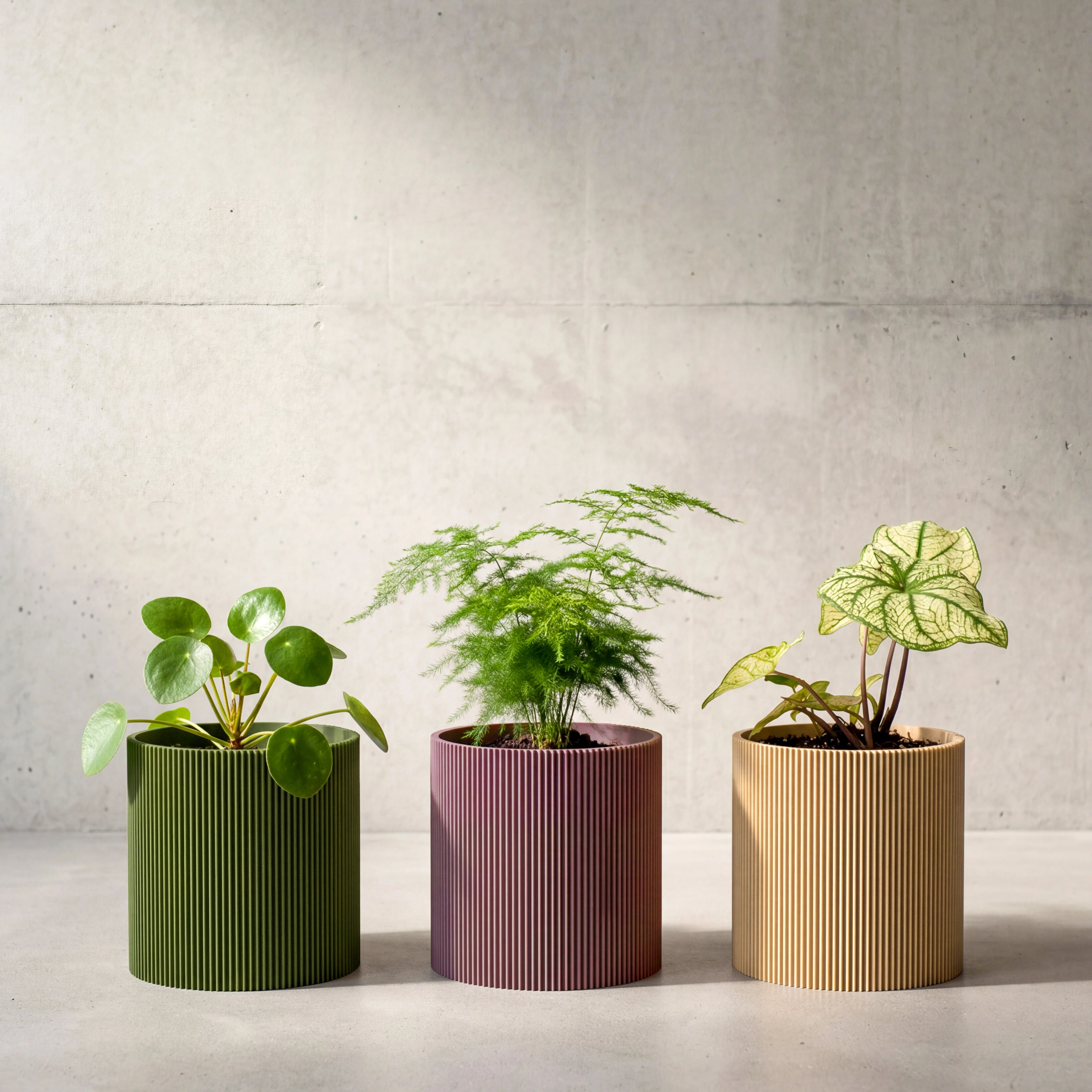 Blumentopf Gerade in Olivgrün, Pflaume und Beige mit drei Pflanzen vor heller Betonwand