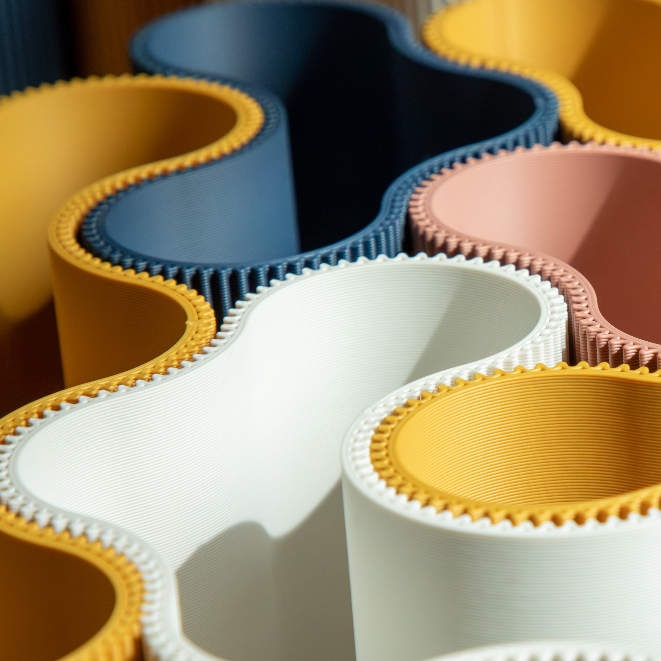 CORAL MODULE ONE - ORGANIZER