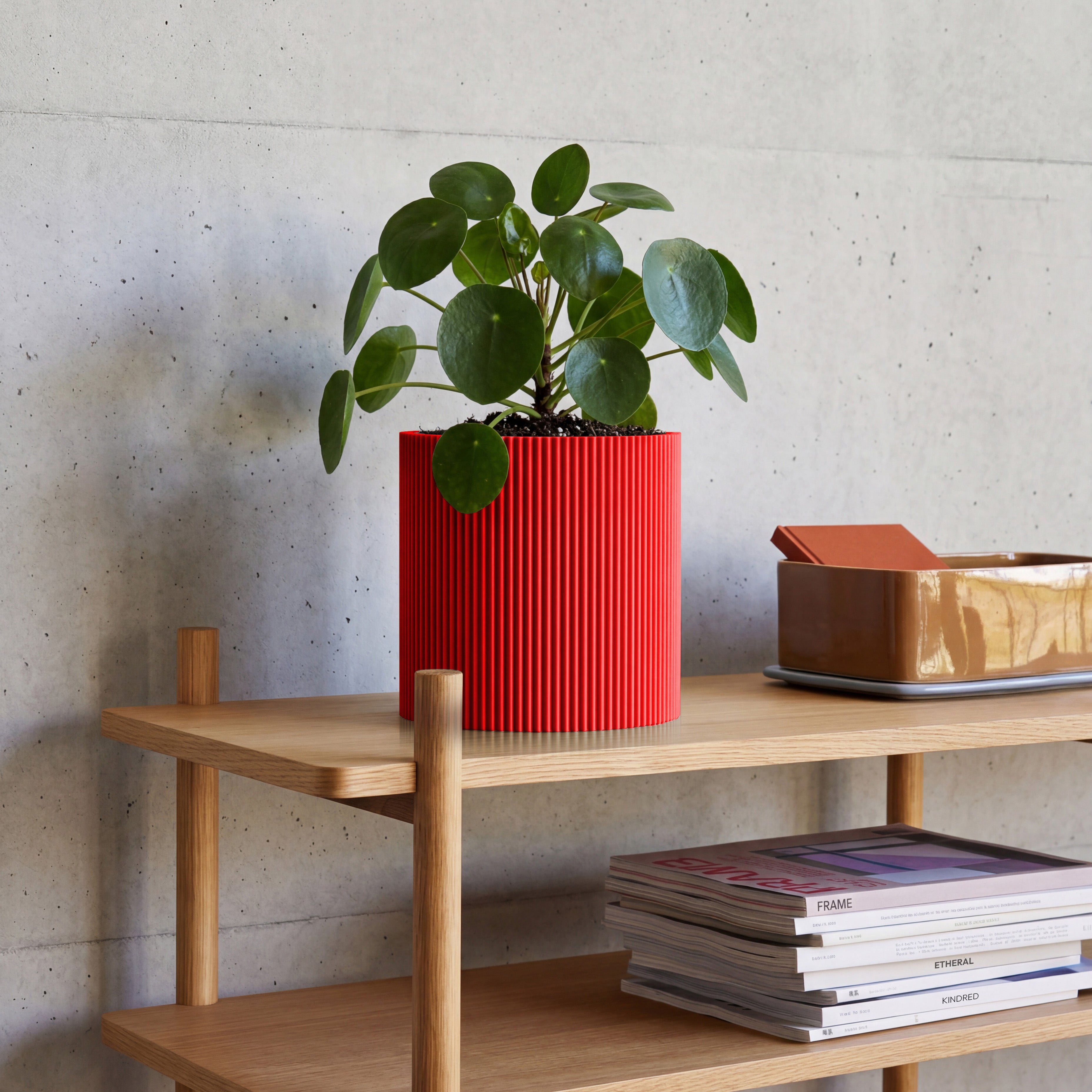 Blumentopf Gerade in rot aus dem 3D Druck mit Pilea auf Eichenregal vor Betonwand #farbe_rot