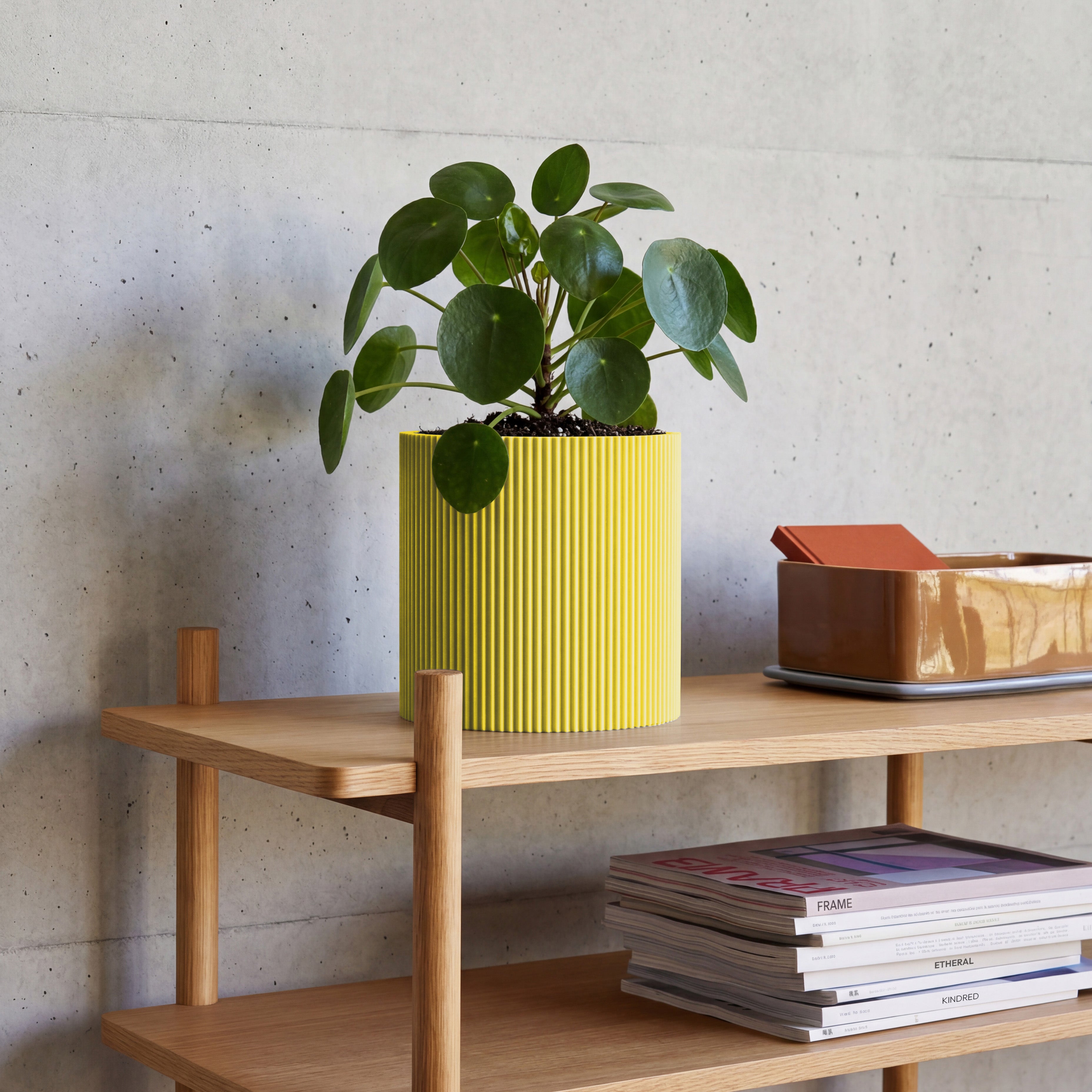 Blumentopf Gerade in gelb aus dem 3D Druck mit Pilea auf Eichenregal vor Betonwand #farbe_gelb