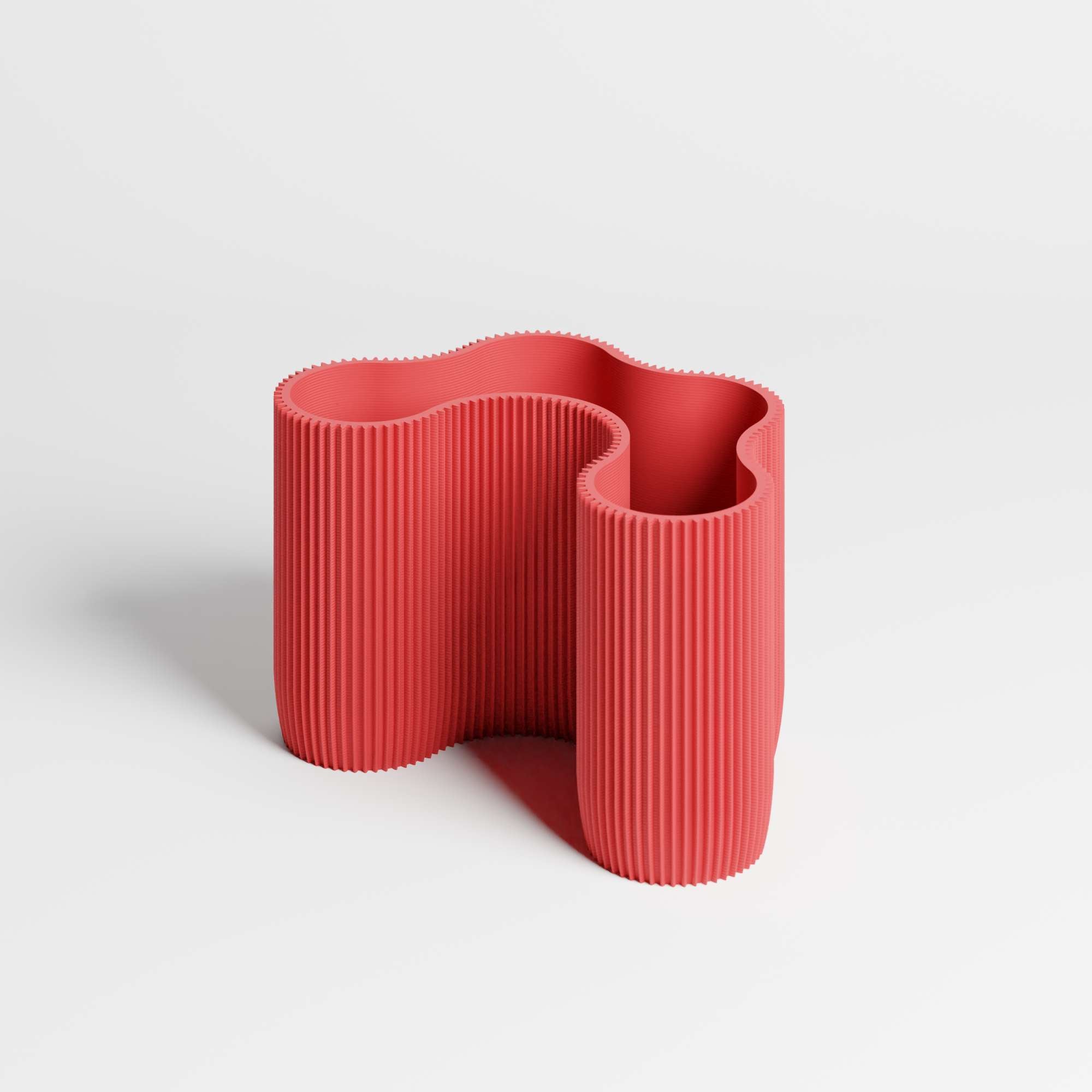 CORAL MODULE FOUR - ORGANIZER