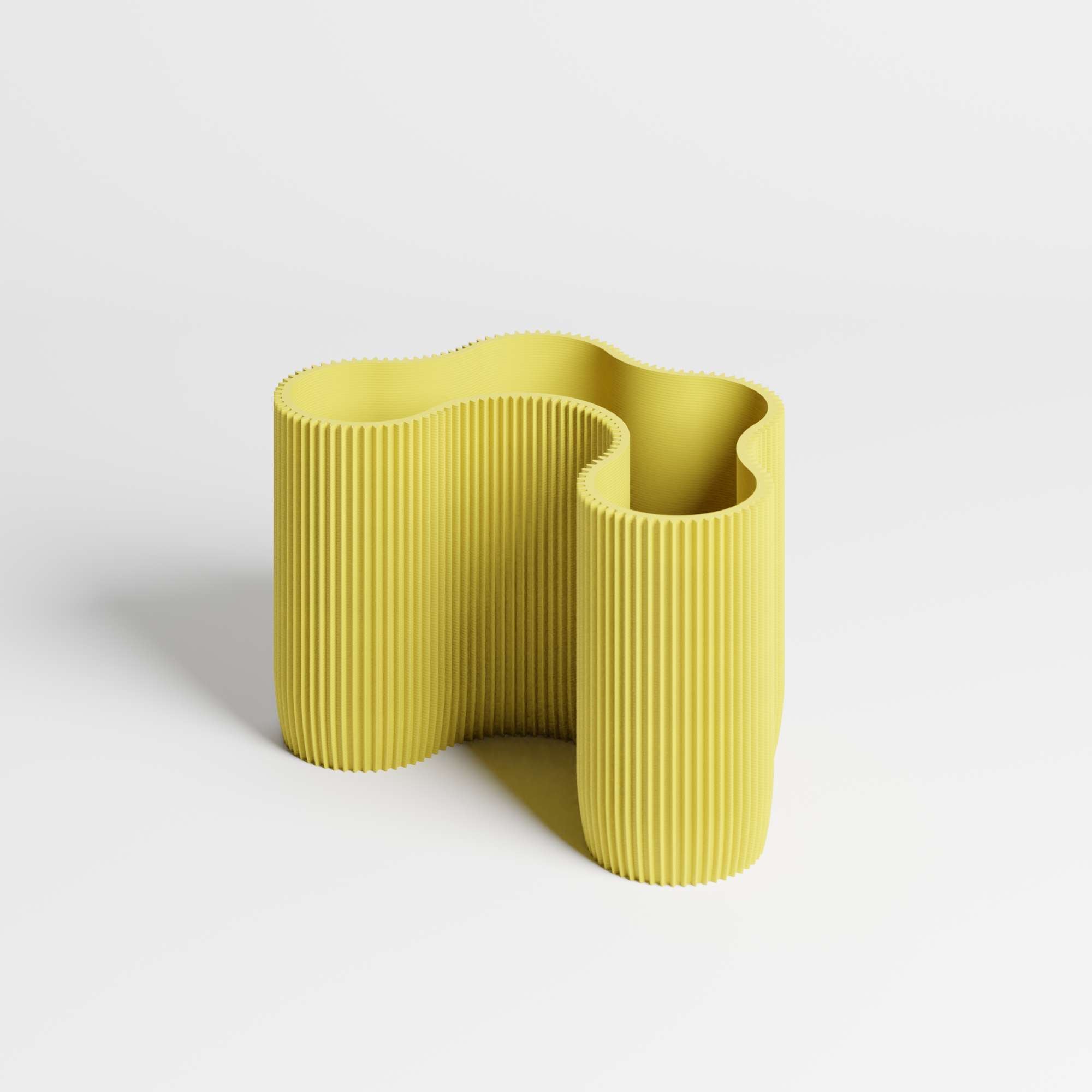 CORAL MODULE FOUR - ORGANIZER